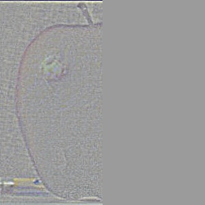 Image 1 for Part 1.1