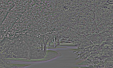 Image 1 for Part 1.1