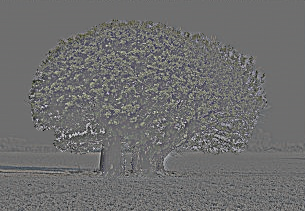 Image 1 for Part 1.1