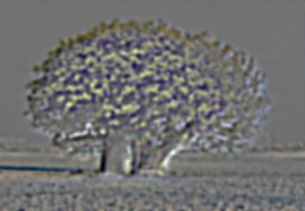 Image 1 for Part 1.1