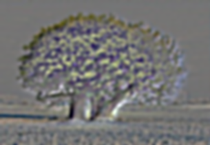 Image 1 for Part 1.1