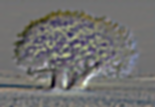 Image 1 for Part 1.1