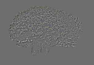 Image 1 for Part 1.1