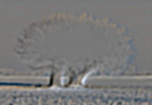 Image 1 for Part 1.1