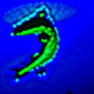 Image 1 for Part 1.1