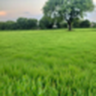 Image 1 for Part 1.1