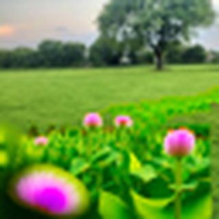 Image 1 for Part 1.1