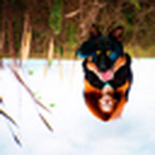 Image 1 for Part 1.1